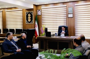  تأمین و توزیع بیش از ۴ هزار تن گاز مایع در استان کردستان