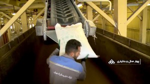 رکوردزنی پتروشیمی لردگان در تولید محصول