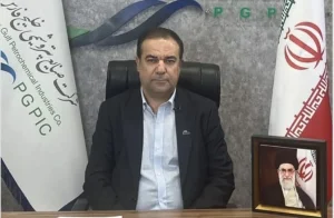 استاندارد سازی مدیریت توسعه در صنعت پتروشیمی 