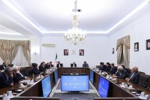 اعلام آمادگی پتروشیمی ها برای کمک به رفع ناترازی ها از طریق مشارکت در توسعه میادین گازی 