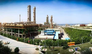 سربلندی متین دیداری در مقابل سهامداران شرکت پتروشیمی زاگرس