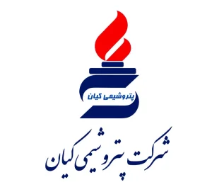مدیر عامل پتروشیمی کیان منصوب شد 