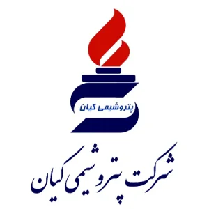  امیر محمدی مدیرعامل شرکت پتروشیمی کیان؛ ۸ دی ماه روز پتروشیمی، فرصتی برای توجه بیشتر به صنعت پیش ران کشور
