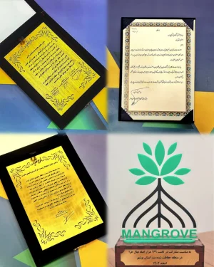 تقدیر از اقدامات زیست محیطی شرکت پتروشیمی پارس / مهر تایید سازمان محیط زیست بر اقدامات پارس با اهداء سه لوح تقدیر و یک تندیس
