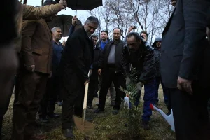 گزارش تصویری غرس نهال در مجتمع پتروشیمی شازند