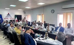 پروژه ان‌جی‌ال ۳۱۰۰، گامی كلیدی برای كاهش گازسوزی