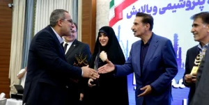 پتروفرهنگ به عنوان «شرکت برتر سال 1403» صنعت نفت ایران معرفی شد